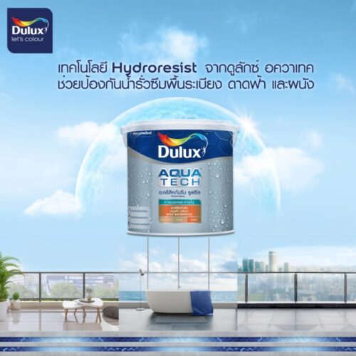 dulux (3)