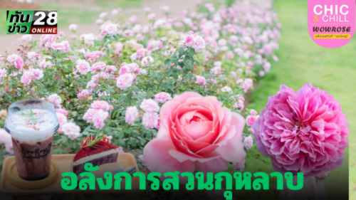 IMG_8094