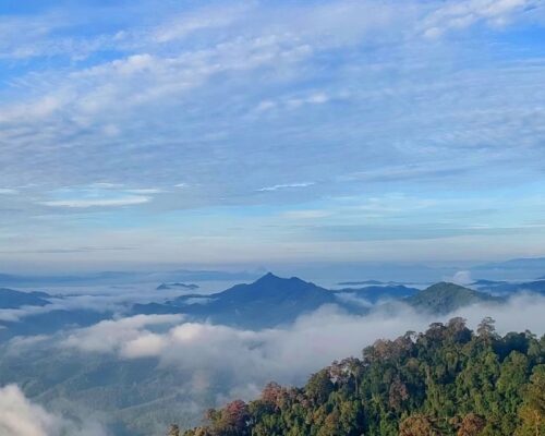 14-เบตง