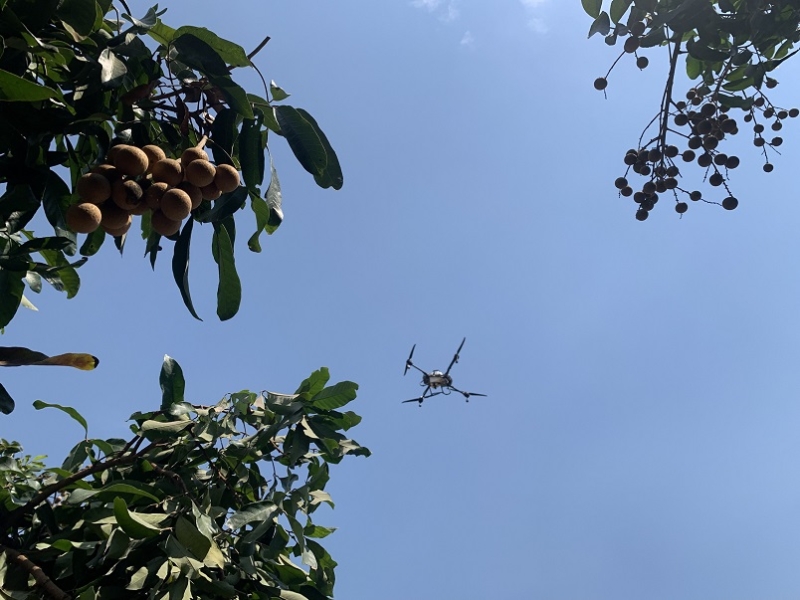 ภาพ 5